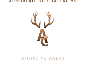 Viseurs point rouge de chasse