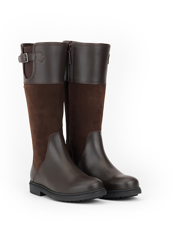 bottines cuir aigle femme