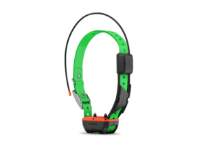 GARMIN TT25F COLLIER DE SUIVI ET DE DRESSAGE